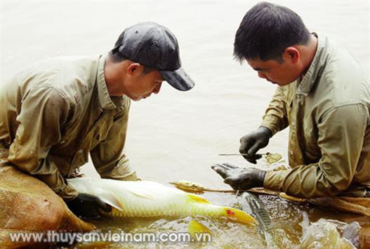 Hỏi - đáp thủy sản tháng 9