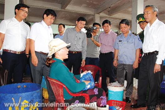 Hướng đến một nghề cá có trách nhiệm