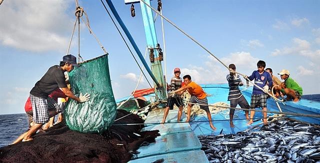 Sản lượng thủy sản trong tháng 7 tăng 4,6%