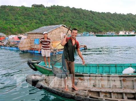 Khai thác thủy sản thành ngành kinh tế chủ lực của tỉnh Kiên Giang