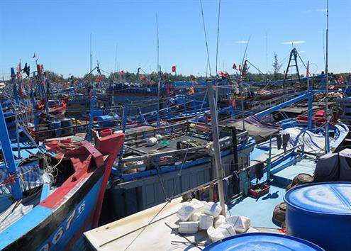 Lập quy hoạch hệ thống cảng cá, khu neo đậu tàu cá 2021 - 2030