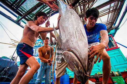 Kiên định mục tiêu sớm gỡ “thẻ vàng”