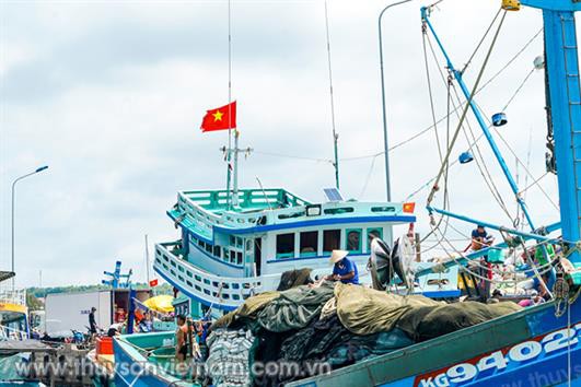 Kiên Giang: Quyết liệt với khai thác thủy sản trái phép