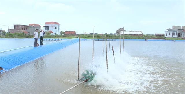 Kim Đông phát triển nuôi trồng thủy sản