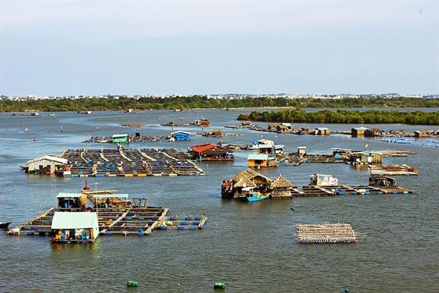 Hỗ trợ người nuôi thủy sản thủ tục giãn nợ và vay thêm vốn