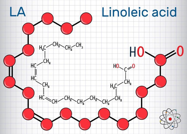 Axit linolenic giúp tôm thẻ chân trắng kháng bệnh EHP