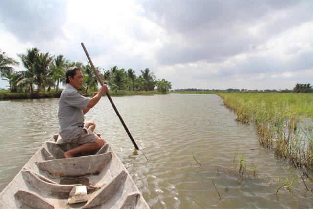 Mặn xâm nhập sâu nơi dân bơm nước vào ruộng nuôi tôm