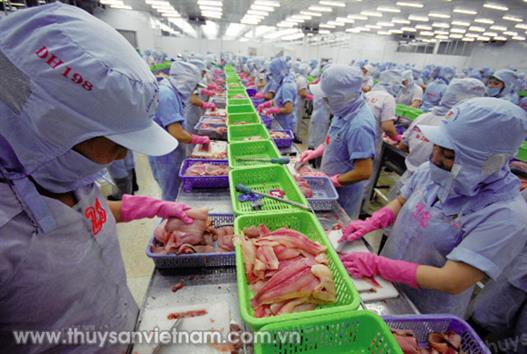 Mạnh tay thiết lập lại ngành cá tra
