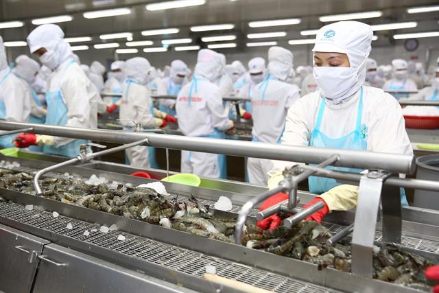 Mỹ khởi xướng điều tra hành vi lẩn tránh thuế với tôm xuất khẩu
