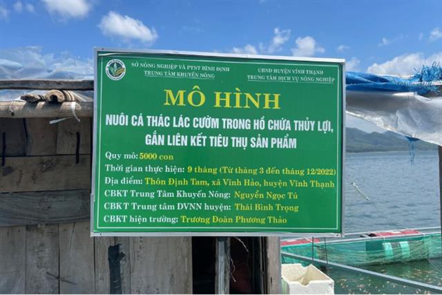 Phát triển nghề nuôi cá thát lát cườm