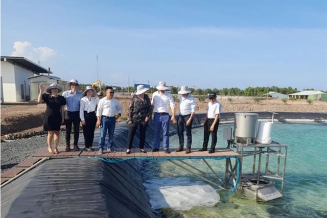Mô thức nuôi tôm mới siêu thâm canh, không phát thải