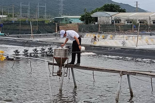 Tăng diện tích nuôi trồng thủy sản công nghệ cao