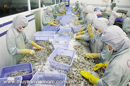 Đừng để hụt hơi khi thị trường hồi phục
