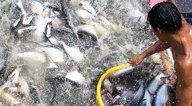 Mục tiêu 10 tỷ USD xuất khẩu thủy sản 2019