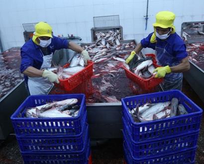 Ngành nông nghiệp năm 2018: Thắng lợi toàn diện