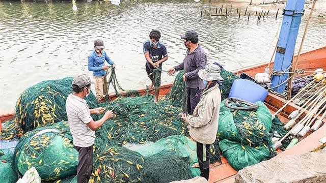 Chú trọng đào tạo nghề cho ngư dân