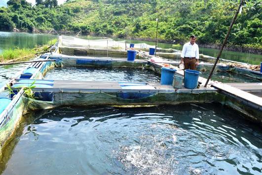 Nghề nuôi cá lồng làm thay đổi cuộc sống người dân vùng hồ