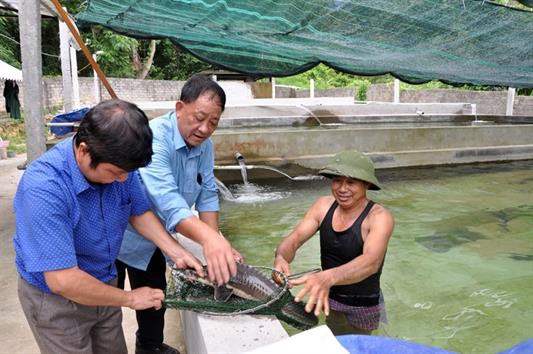 Mở hướng làm giàu từ nuôi cá tầm kết hợp du lịch trải nghiệm