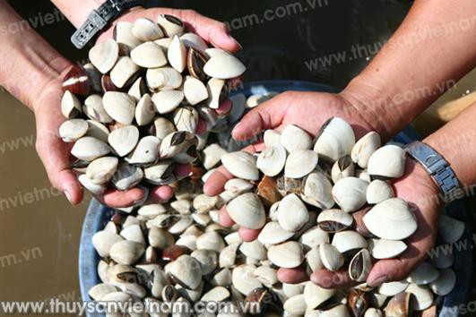 Rộng thị trường từ chứng nhận sinh thái