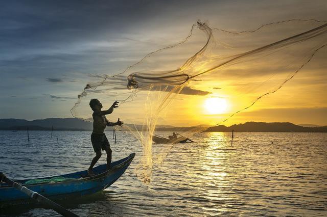 TPHCM: Tăng cường biện pháp bảo tồn biển, phát triển nguồn lợi thủy sản