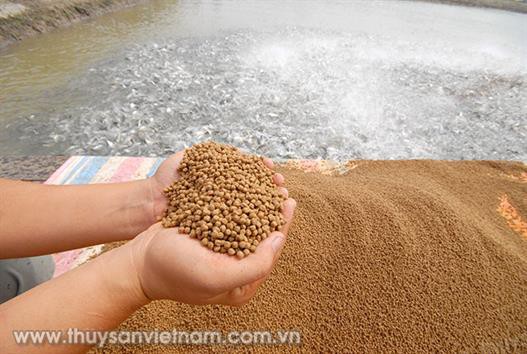 Thị trường thức ăn thủy sản năm 2020: Nhiều biến đổi khó lường