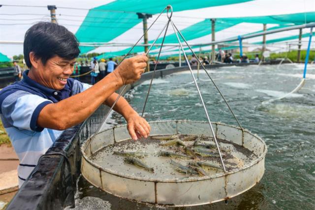 Giải bài toán nước sạch cho nuôi tôm