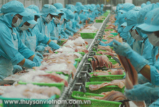 Nhiều điểm mới trong chứng nhận thủy sản xuất khẩu