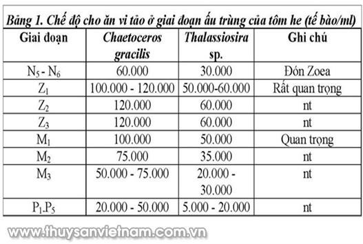 Nhu cầu dinh dưỡng của tôm bố mẹ và ấu trùng