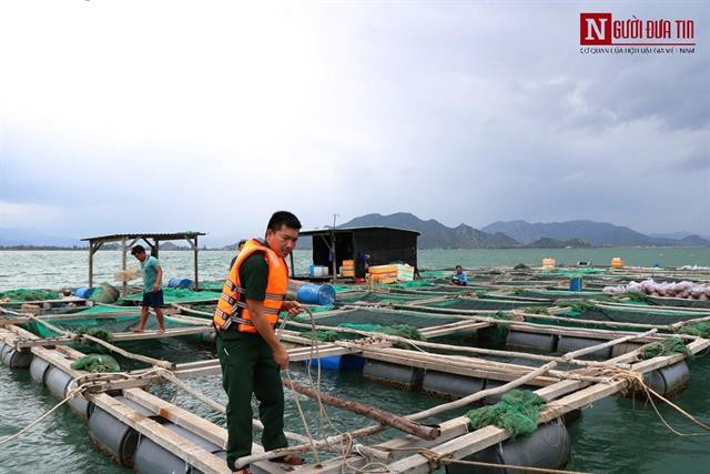 Ninh Thuận: Cấm tàu thuyền hoạt động trên biển, đề phòng bão số 5 đổ bộ