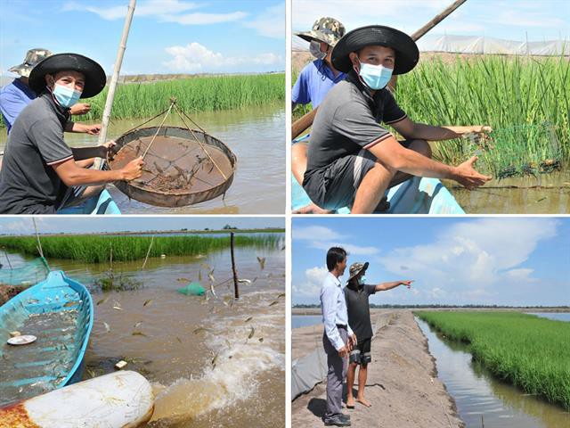 Nông dân 9x thu nhập bạc tỷ nhờ nuôi cá "trời cho" và trồng lúa nước