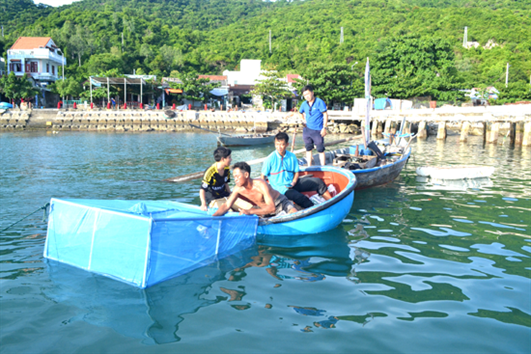 Nuôi bào ngư ở xã đảo