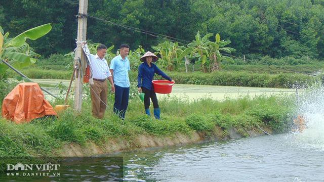 Nuôi đủ loại cá ngon, lão nông thu trăm triệu mỗi năm