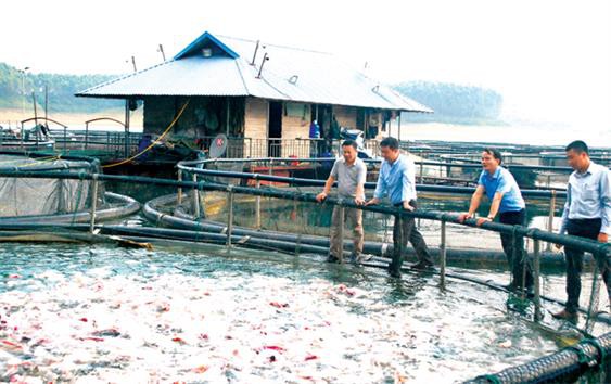 Để thủy sản trở thành ngành kinh tế chủ lực: Nuôi gắn với xây dựng thương hiệu