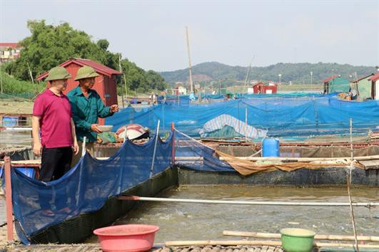 Bắc Ninh: Hướng đi bền vững cho nghề nuôi cá lồng