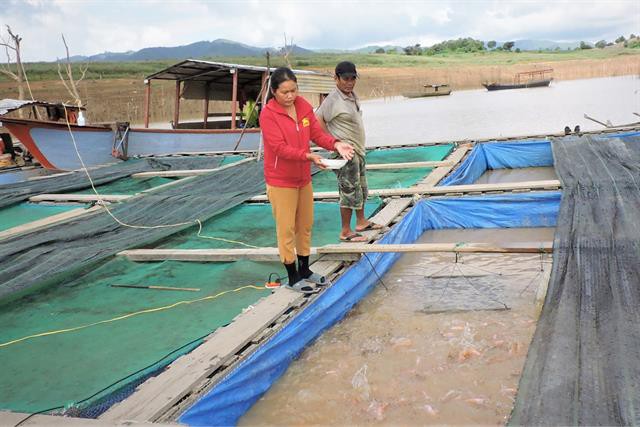 Vùng núi Kon Tum khai thác lợi thế để nuôi cá lồng bè