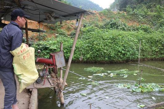 Nghề nuôi cá ở Pác Thiên