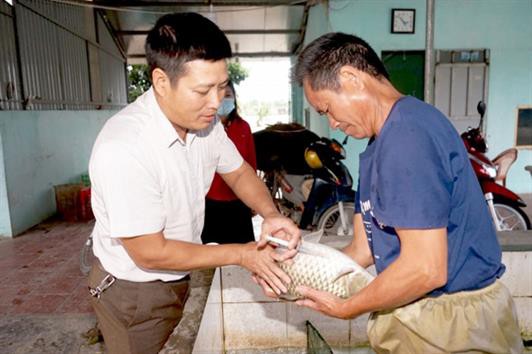 Thu tiền tỷ từ nuôi thủy sản “sông trong ao”