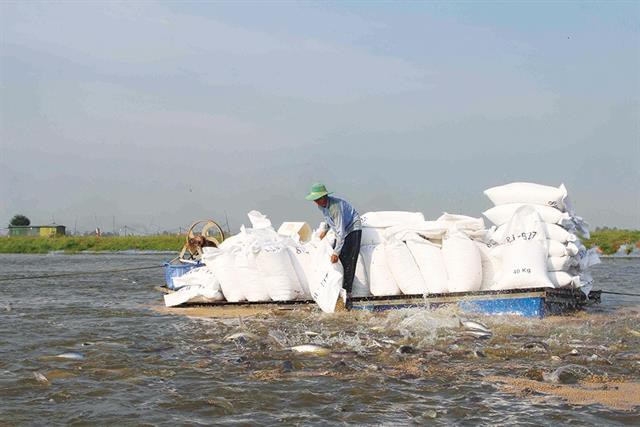 Giảm bớt áp lực cho ngành hàng cá tra