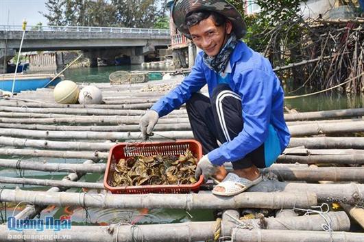 Những thanh niên làng biển năng động