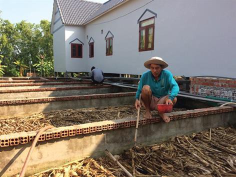 Ông Lớn nuôi lươn đất thắng lớn