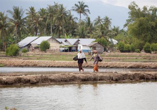 Indonesia muốn hợp tác nuôi trồng thủy sản với Việt Nam