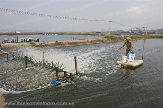 Quản lý sức khỏe thủy sản mùa lạnh
