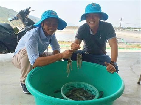 Nuôi tôm chi phí thấp, lợi nhuận cao