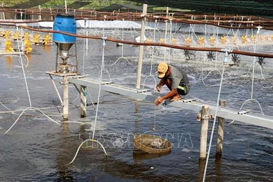 Phòng, chống dịch bệnh nguy hiểm trên thủy sản