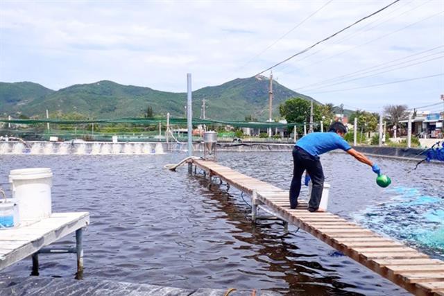 Tăng cường phòng, chống dịch bệnh thủy sản trong mùa mưa bão