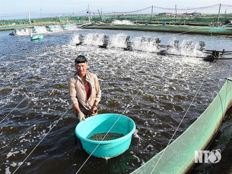 Nuôi trồng thủy sản hướng đến mục tiêu bền vững
