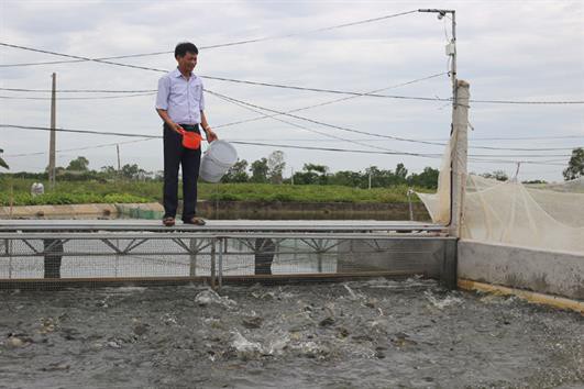 Nuôi trồng thủy sản vào vụ mới