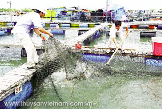 Thúc đẩy tăng trưởng, phát triển bền vững Vùng miền Trung