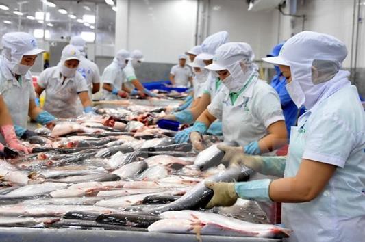 Phát huy tiềm năng các loài thủy sản nuôi chủ lực