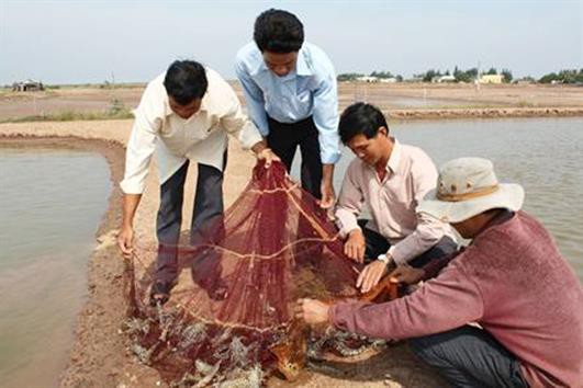 Phát huy tiềm năng nuôi trồng thủy sản